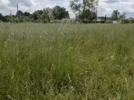 terrain 1 000 m² coutras