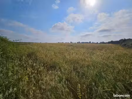 terrain agricole à louer