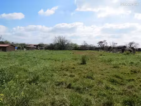 terrain 1 446 m² cissac medoc