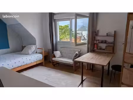 grande chambre sur jardin metro mabilaisis