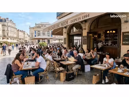 fonds de commerce bar  restaurant 100 m²