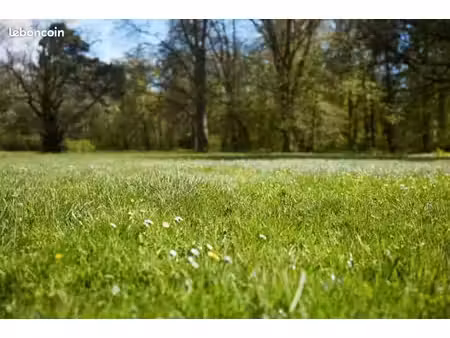 terrain 312 m² druye