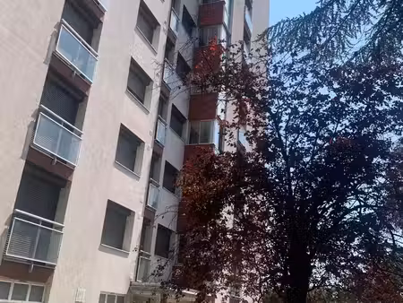 t2 appartement 2 pièces 50 m²