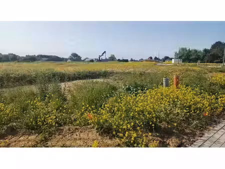 lot 35