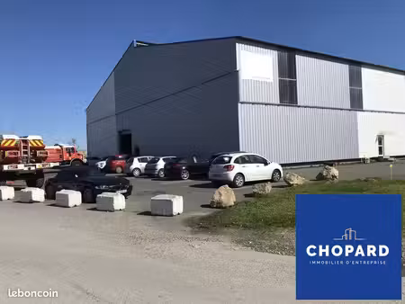 local 1200 m² bassens