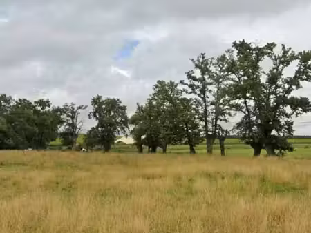 terrain 380 m² la haie fouassiere