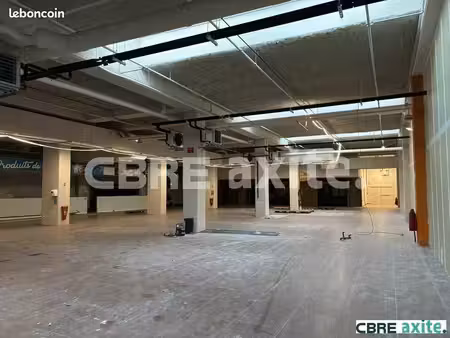 local commercial 1243 m² bourgoin jallieu