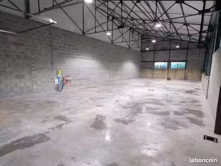 locaux d'activité  250 m²
