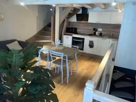 location maison + local commercial
