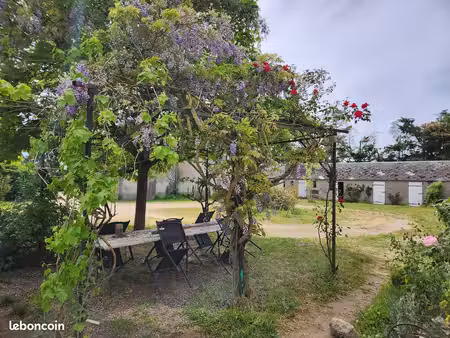 propriété 13 pièces 307 m²