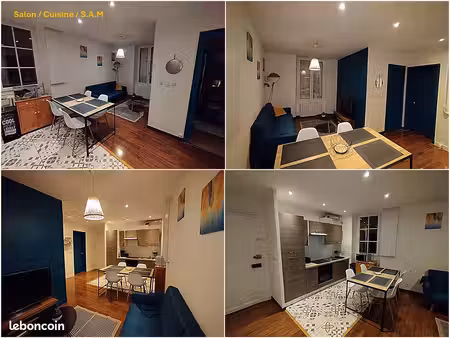 appartement meublé t3 rénové de 47 m² - hypercentre et bord de loire