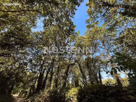 terrain 4394 m² vaudelnay