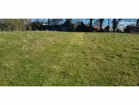 terrain constructible