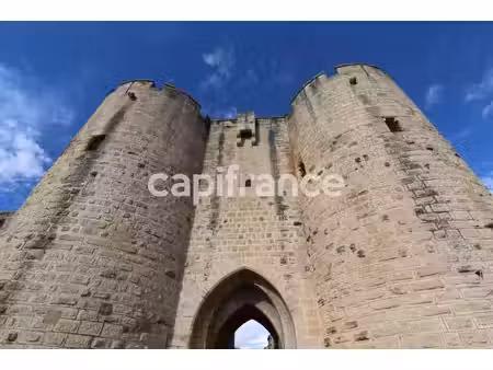 vente commerce aigues mortes 30220 115m²