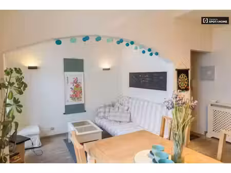 bel appartement lumineux meublé 50 mètres de la place flagey