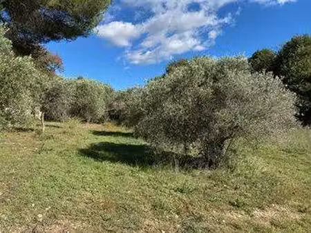 terrain constructible viabilisé à vendre