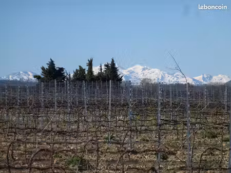 petite maison à la campagne avec vue sur les pyrénées – brugairolles – 70 000