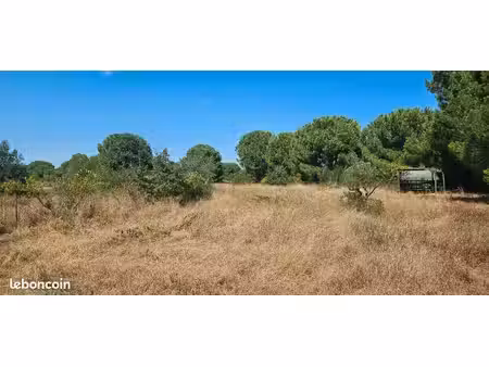 terrain de loisir