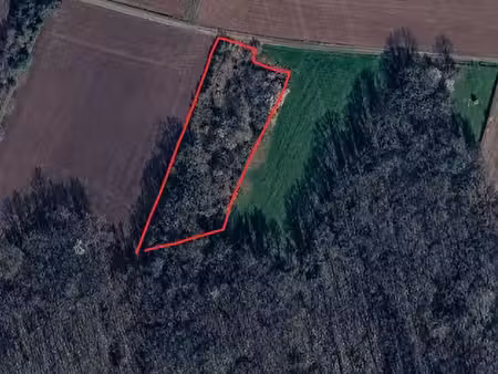 terrain de loisir/ activités