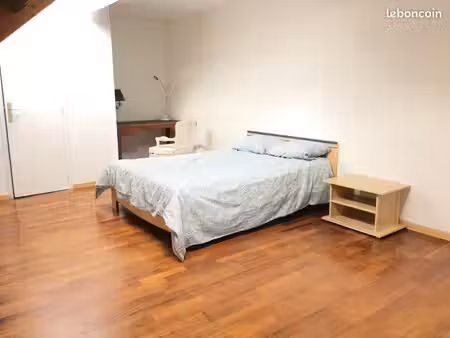 grand duplex f4 en plein centre ville