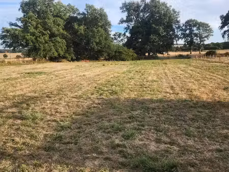 location terrain pour animaux
