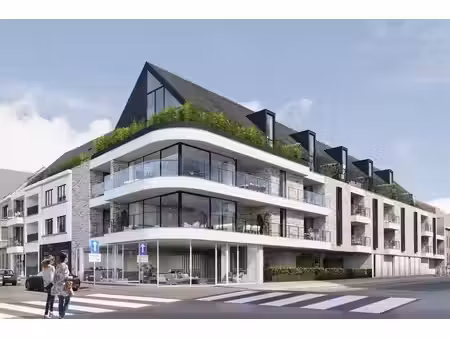 vangronsveld & somers  thuis in ontwikkeling