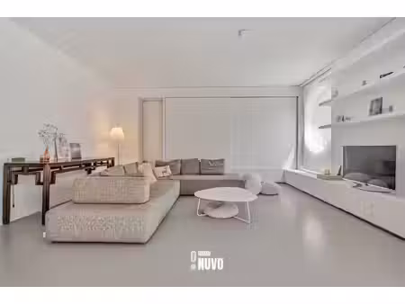immo nuvo
