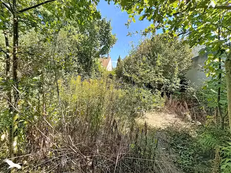 terrain