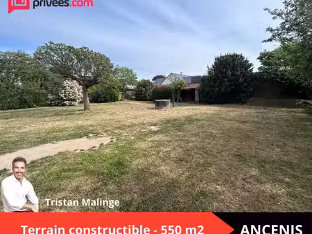 terrain constructible 550m2 - ancenis - au calme en second rideau