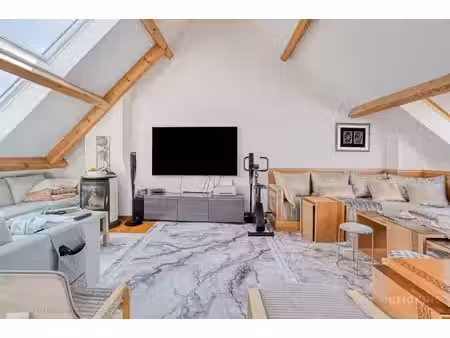 woningen (en makelaars) met karakter