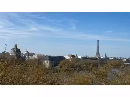 bien d'exception avec vue sur la seine et monuments !