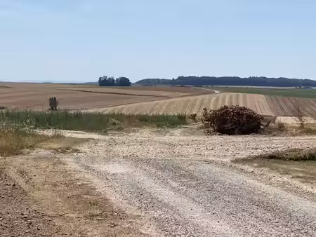terrain à vendre - 2430 m2 - guyencourt saulcourt - 80 - picardie