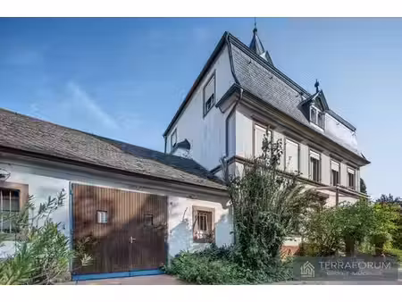 maison de luxe de 10 pièces en vente à schirrhein  france