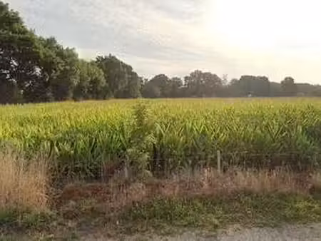 vente terrain à lanvallay (22100) : à vendre / lanvallay