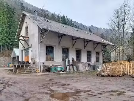vente immeuble 0 pièces 480 m² à gerardmer (88400)  162 000 €
