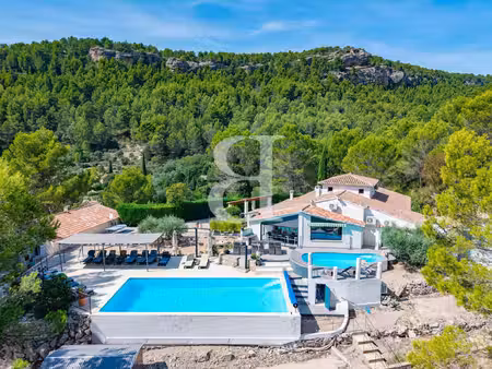 superbe villa avec dépendances proche de l'isle-sur-la-sogue