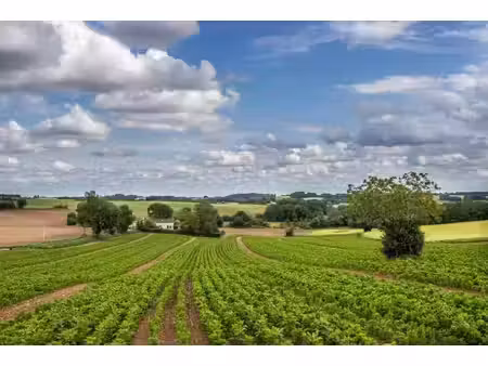 country property