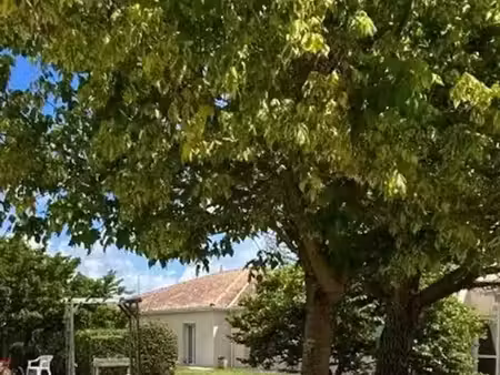 vente appartement 1 pièce 17 m² à saint-sulpice-de-royan (17200)  105 263 €