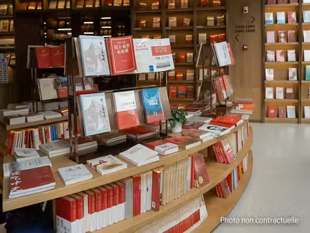 location commerce lyon 69001 50m²