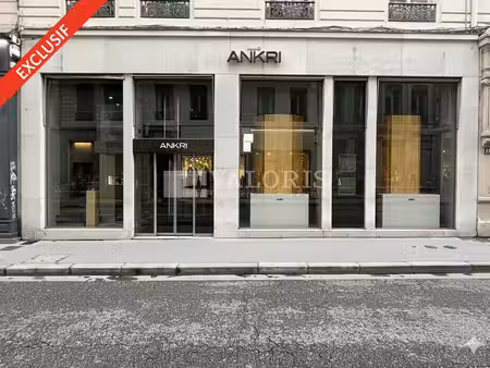 location commerce lyon 69002 100m²