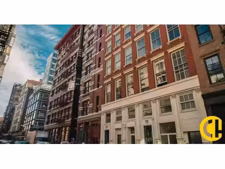 vente commerce lyon 69008 648m²