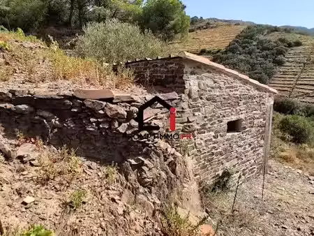 vente terrain 7859 m² à banyuls-sur-mer (66650)  26 000 €