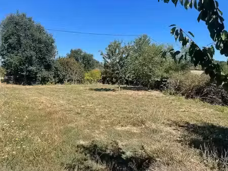 vente terrain 1060 m² à cognac-la-forêt (87310)  41 000 €