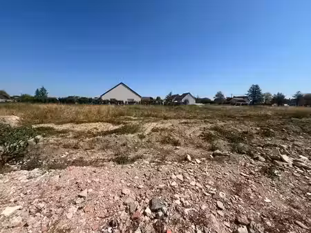 vente terrain 719 m² à pruniers-en-sologne (41200)  48 000 €