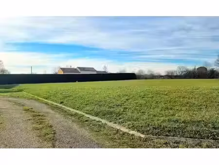 vente terrain 1416 m² à valence-d'albigeois (81340)  39 816 €