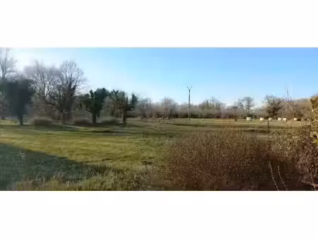 vente terrain 1000 m² à ménesplet (24700)  20 000 €