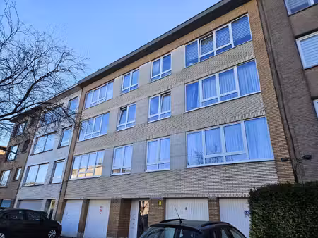 huis te koop in antwerpen met 14 slaapkamers