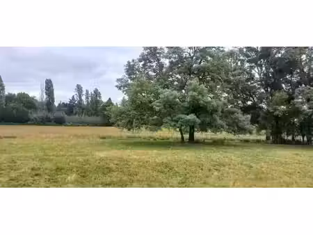 vente terrain 1200 m² à ménesplet (24700)  30 000 €