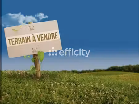 terrain - 716 m²