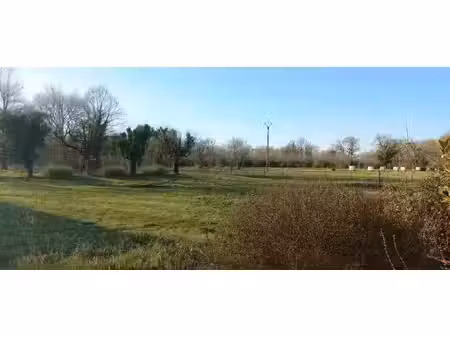 vente terrain 1000 m² ménesplet (24700)